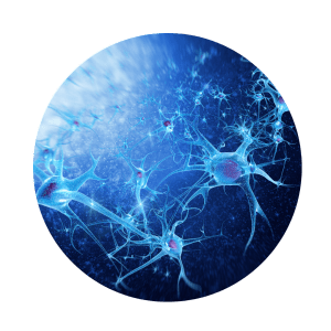 Neurons on a blue background